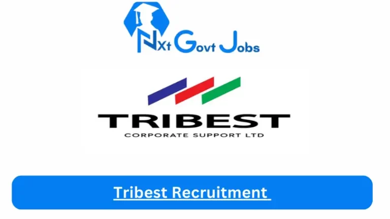 Tribest Recruitment 2024 Submit @tribestsupport.com Career Portal